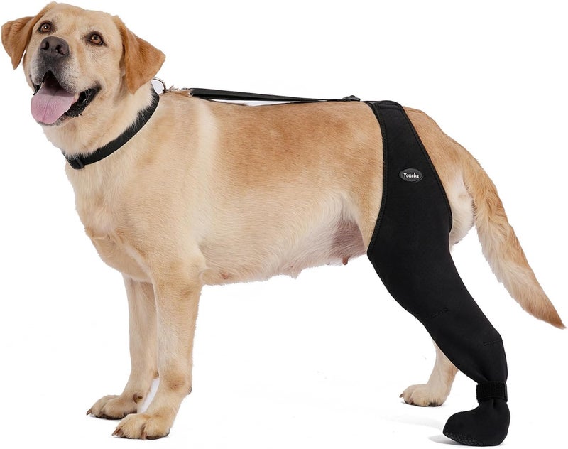 Yoneba Dog Socks to Prevent Licking Paws ，Breathable Leg Sleeve to Stop Licking and Biting， Firm and Secure Adjustable Size Dog Recovery Sleeve Socks (XL-Left) - Image 1